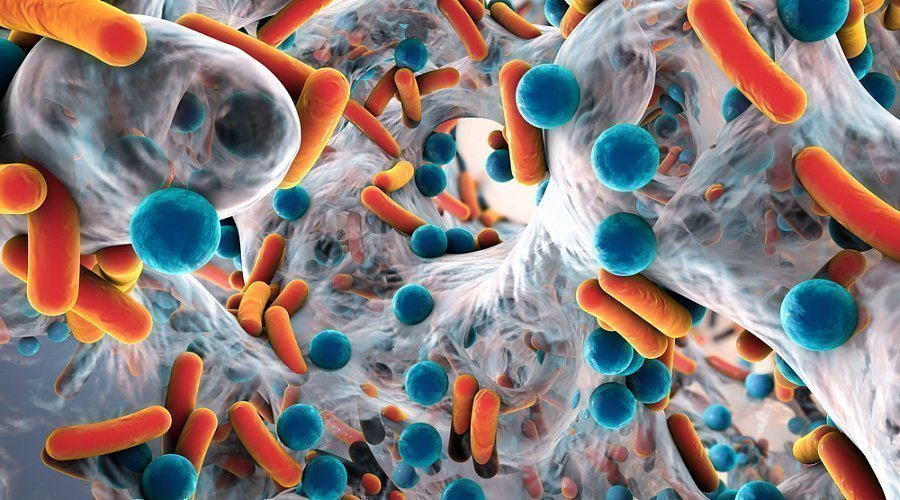 Самые опасные бактерии на планете: топ-8